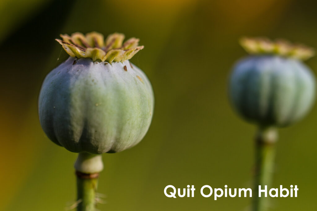 Quit Opium Habit